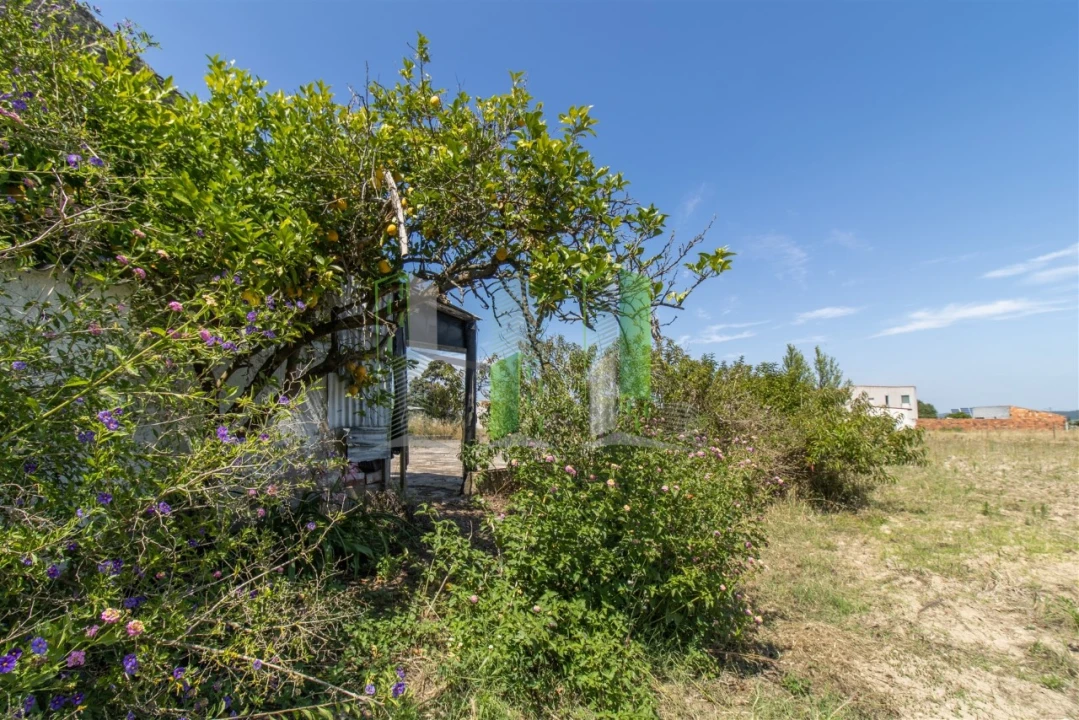 Terreno para Venda em Maiorca Foto 5