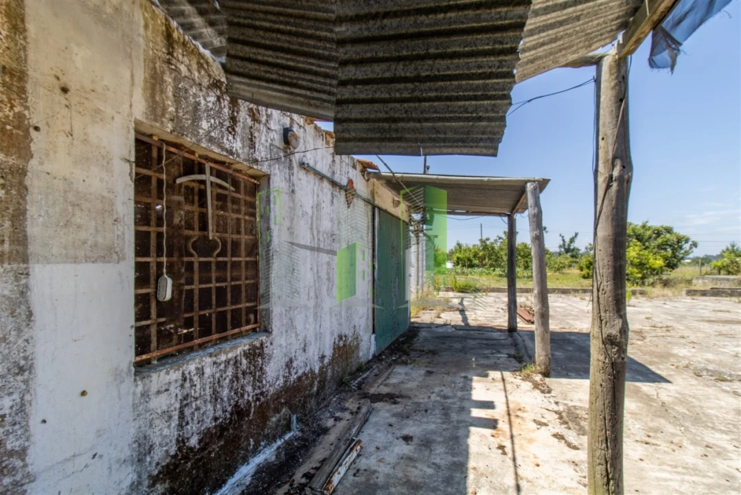 Terreno para Venda em Maiorca Foto 7