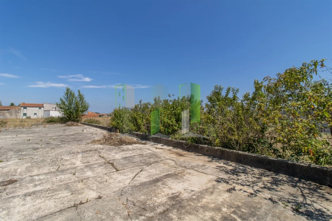 Terreno para Venda em Maiorca Foto 8