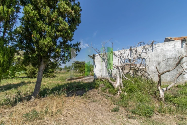 Terreno para Venda em Maiorca Foto 4