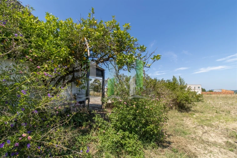 Terreno para Venda em Maiorca Foto 5