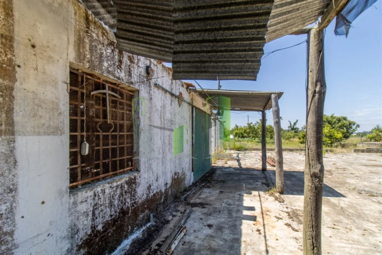 Terreno para Venda em Maiorca Foto 7