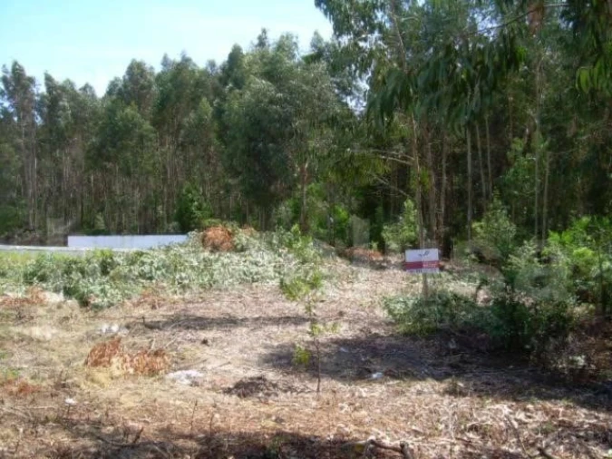 Terreno para Venda em Lavos