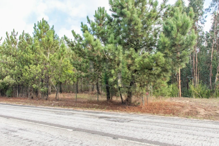 Terreno para Venda em Marinha das Ondas Foto 2