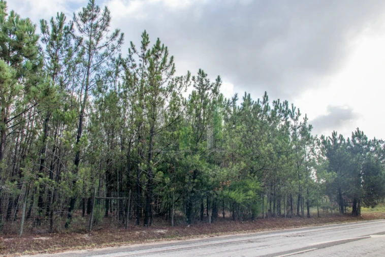 Terreno para Venda em Marinha das Ondas Foto 7