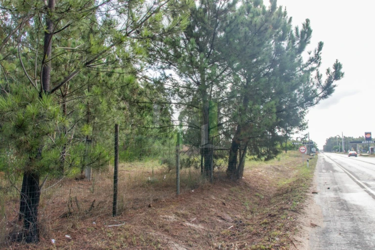 Terreno para Venda em Marinha das Ondas Foto 15