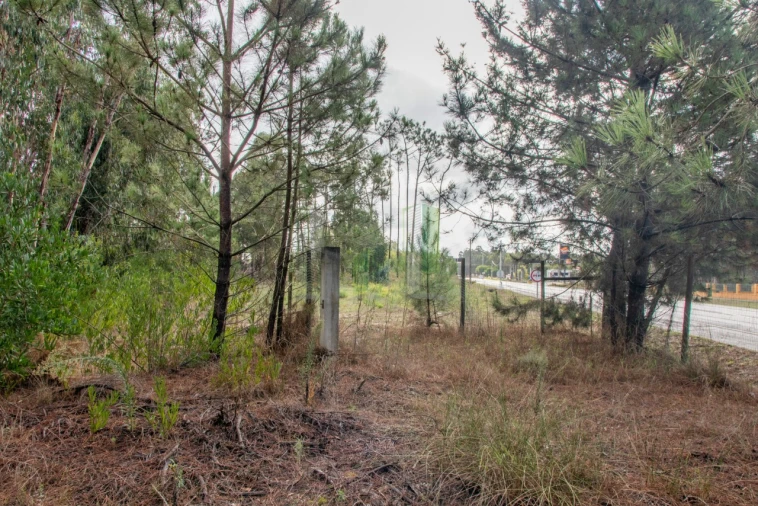 Terreno para Venda em Marinha das Ondas Foto 20