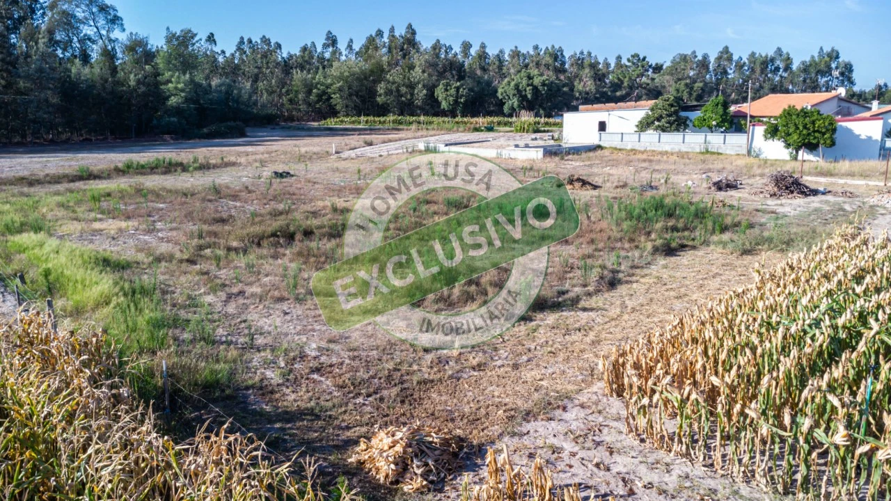 Terreno para Venda em Ferreira-A-Nova Foto 19