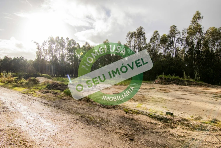 Armazém para Venda em Marinha das Ondas Foto 45