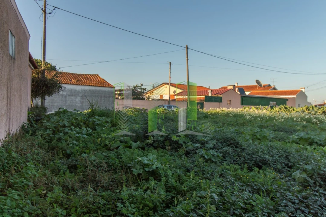 Terreno para Venda em Covões e Camarneira Foto 8
