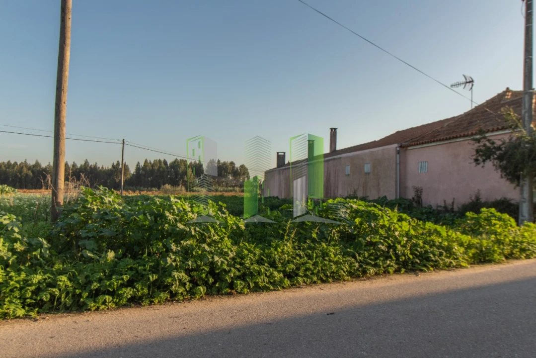 Terreno para Venda em Covões e Camarneira Foto 10