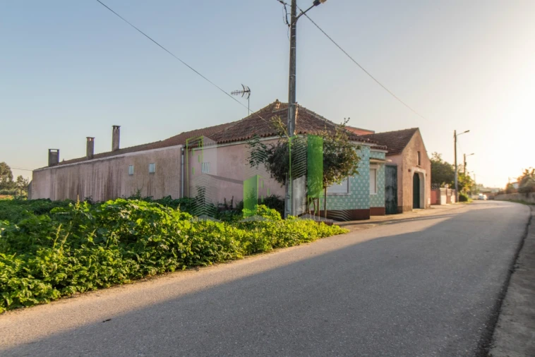 Terreno para Venda em Covões e Camarneira Foto 2