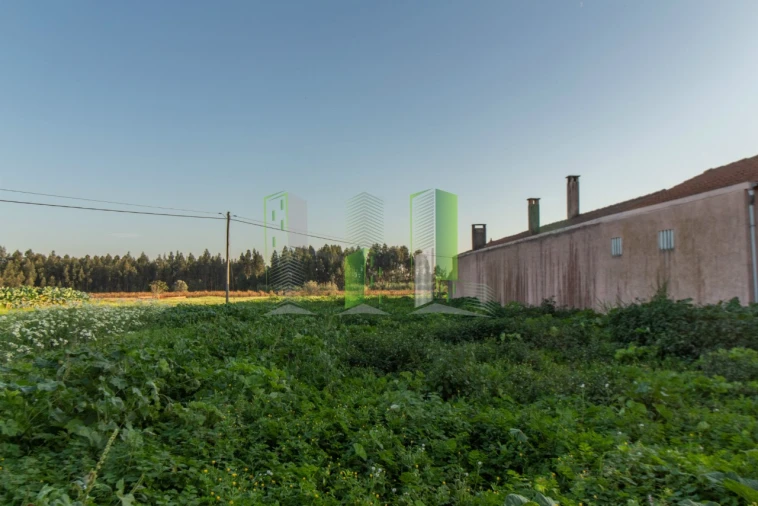 Terreno para Venda em Covões e Camarneira Foto 4