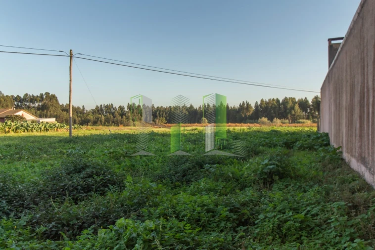 Terreno para Venda em Covões e Camarneira Foto 7
