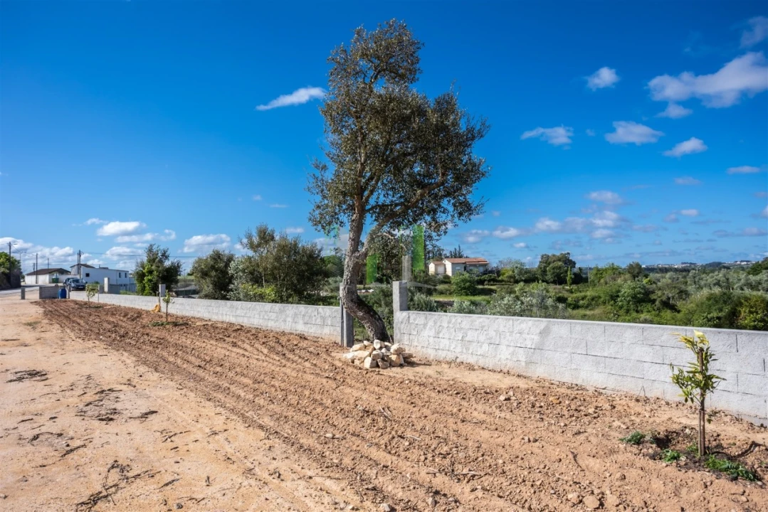 Terreno para Venda em Montemor-O-Velho e Gatões Foto 21