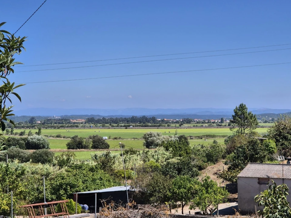 Terreno para Venda em Maiorca Foto 14