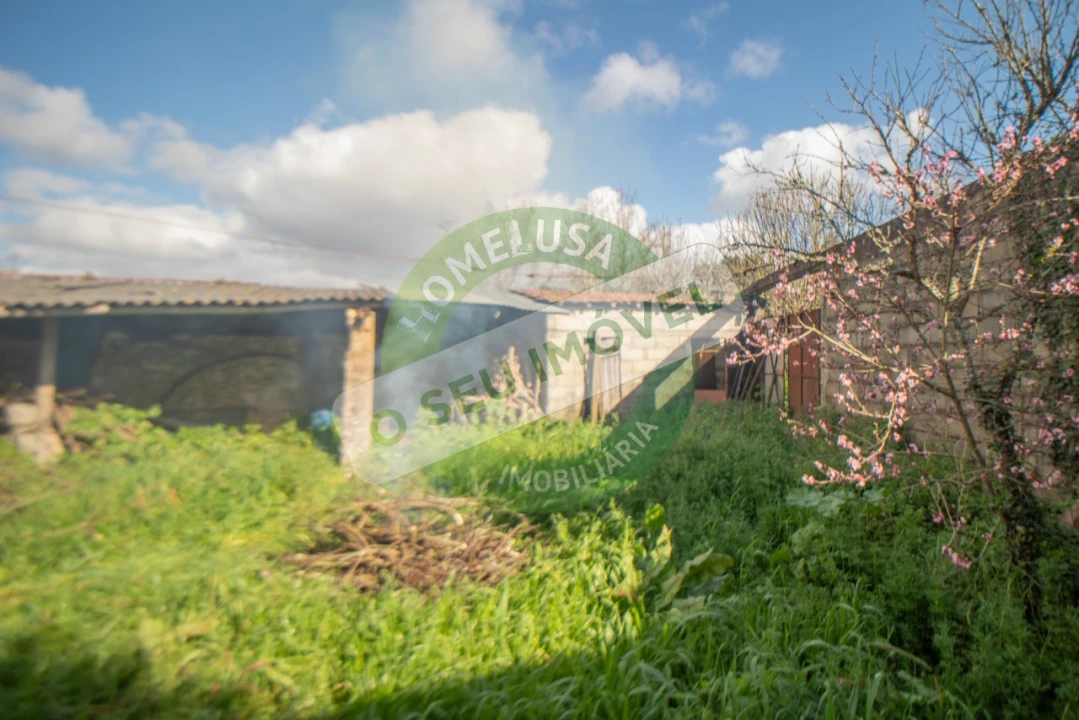 Moradia T3 para Venda em Portunhos e Outil Foto 6