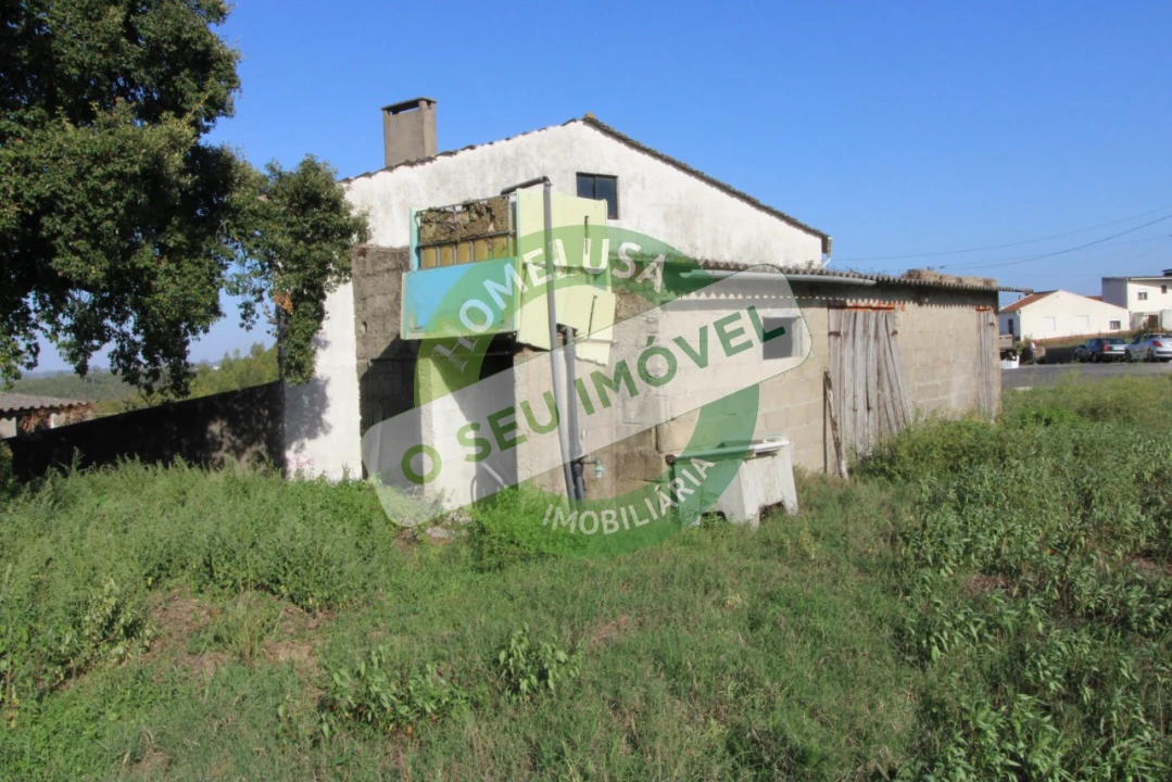 Terreno Agricola ou Rústico para Venda em Paião Foto 5
