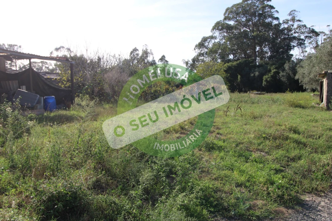 Terreno Agricola ou Rústico para Venda em Paião Foto 8