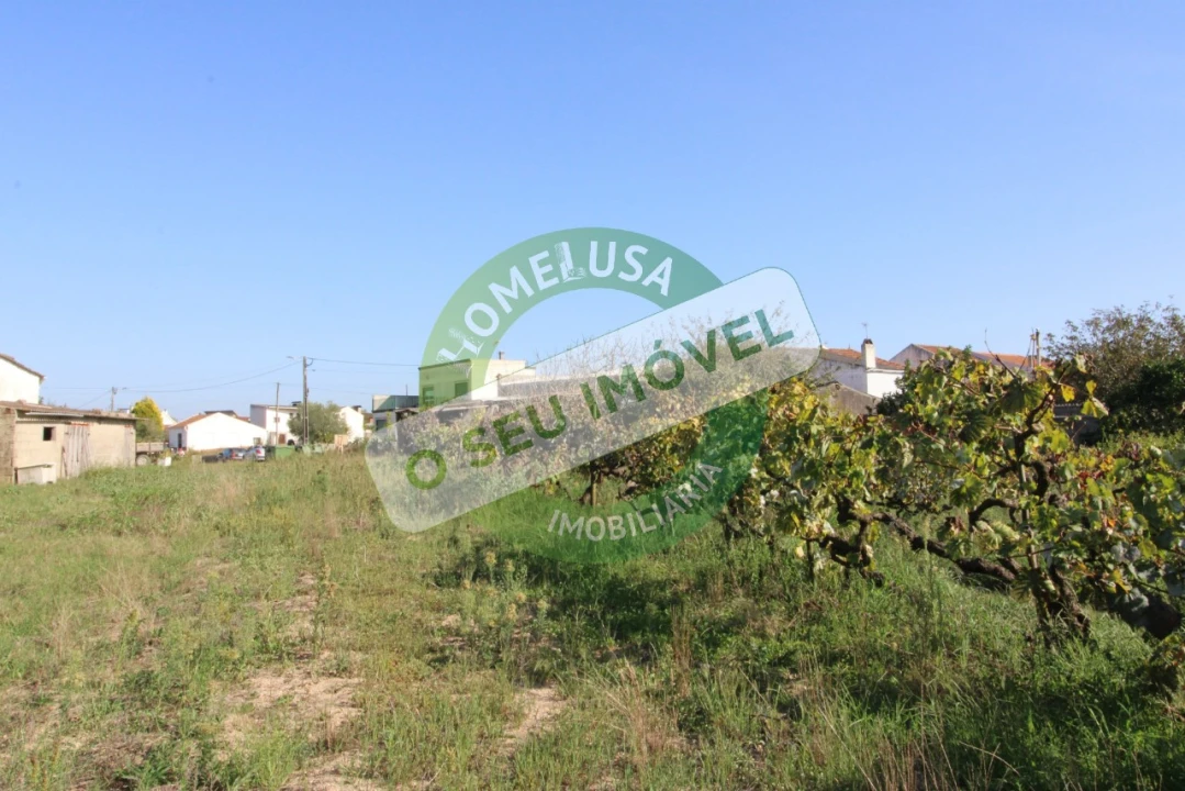 Terreno Agricola ou Rústico para Venda em Paião Foto 12