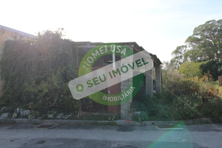 Terreno Agricola ou Rústico para Venda em Paião Foto 4