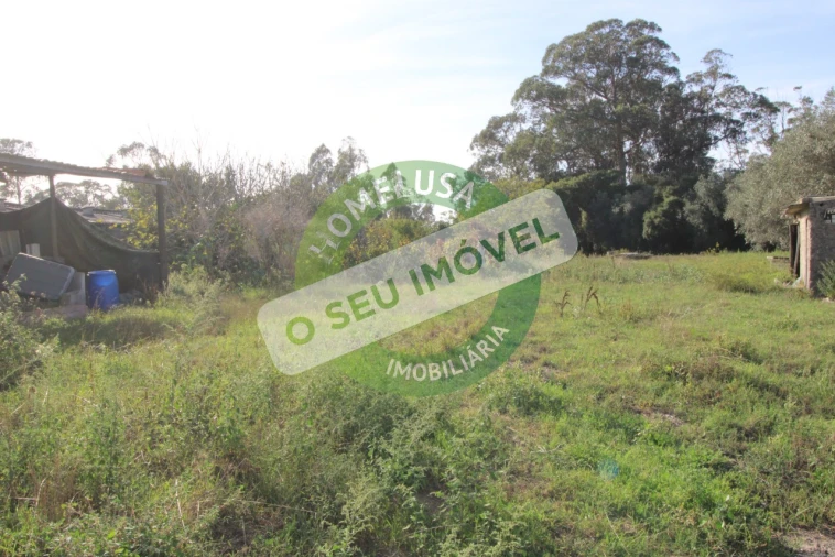 Terreno Agricola ou Rústico para Venda em Paião Foto 1