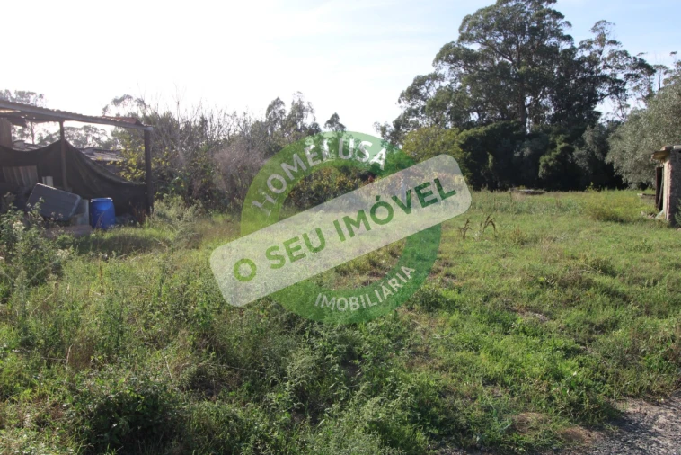 Terreno Agricola ou Rústico para Venda em Paião Foto 8