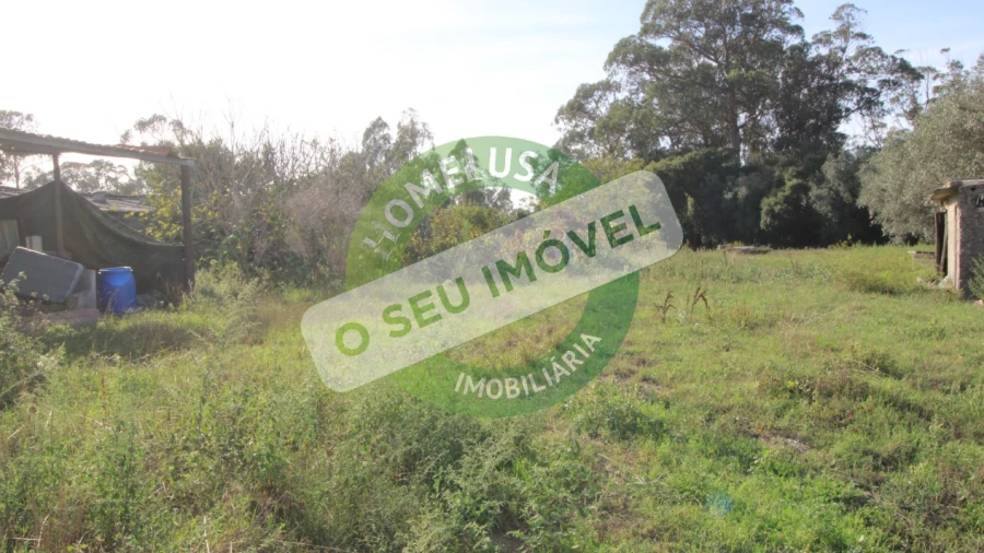 Terreno Agricola ou Rústico para Venda em Paião