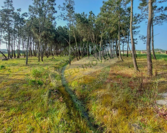 Terreno para Venda em Marinha das Ondas Foto 11