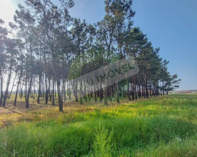 Terreno para Venda em Marinha das Ondas Foto 15