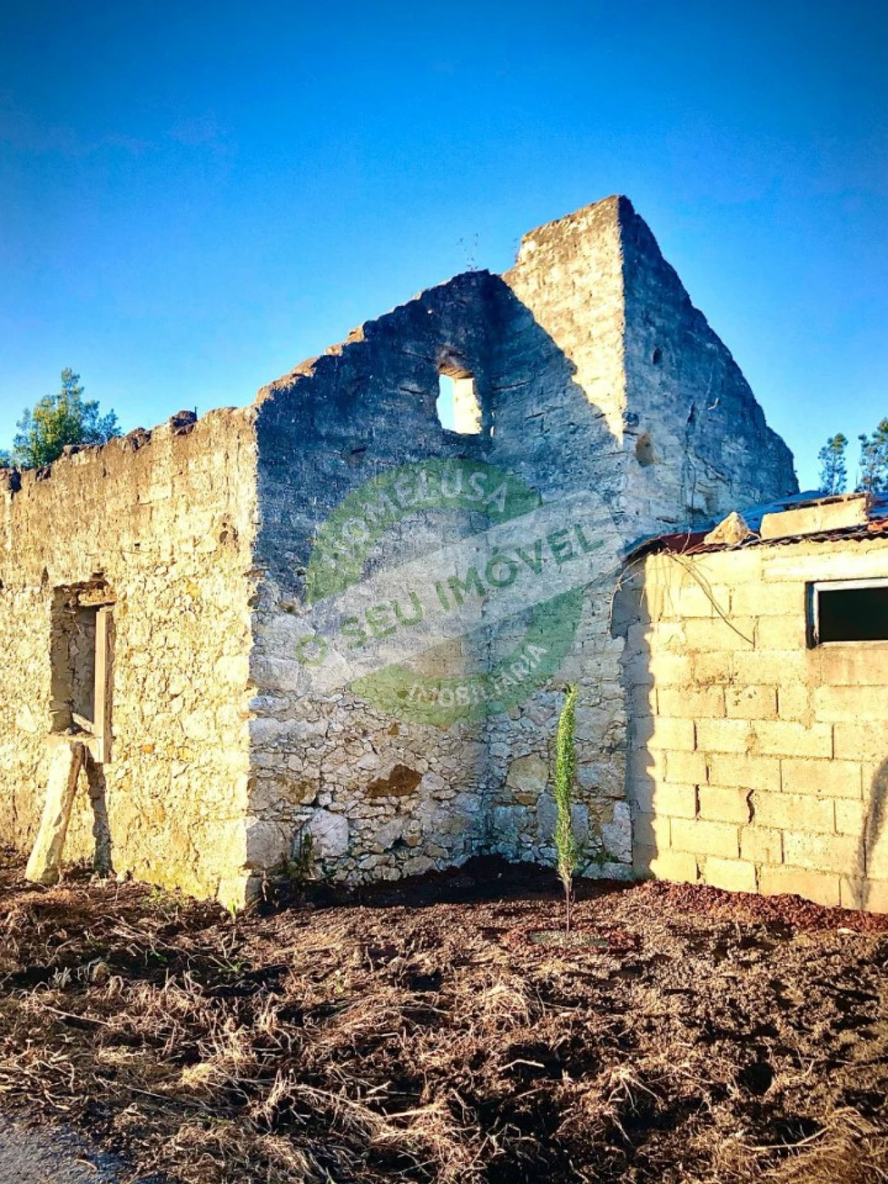 Moradia para Venda em Sanguinheira Foto 4