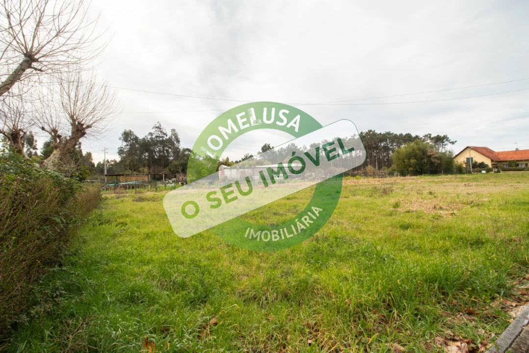 Terreno para Venda em Fonte de Angeão e Covão do Lobo Foto 10