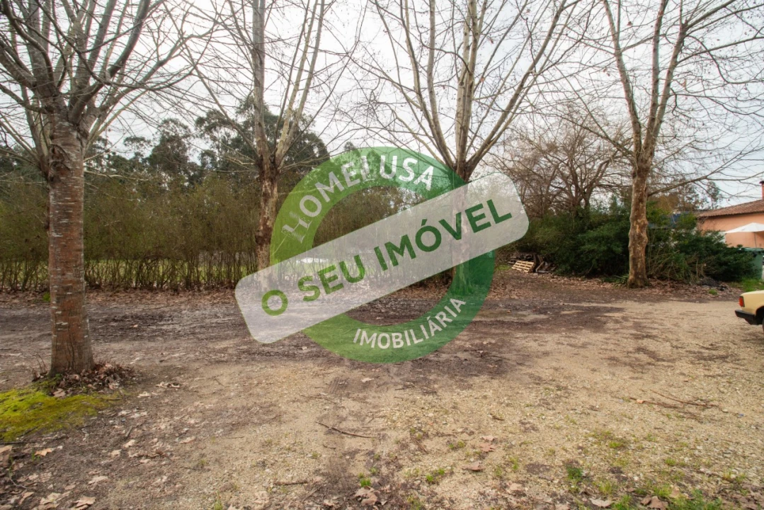 Terreno para Venda em Fonte de Angeão e Covão do Lobo Foto 11