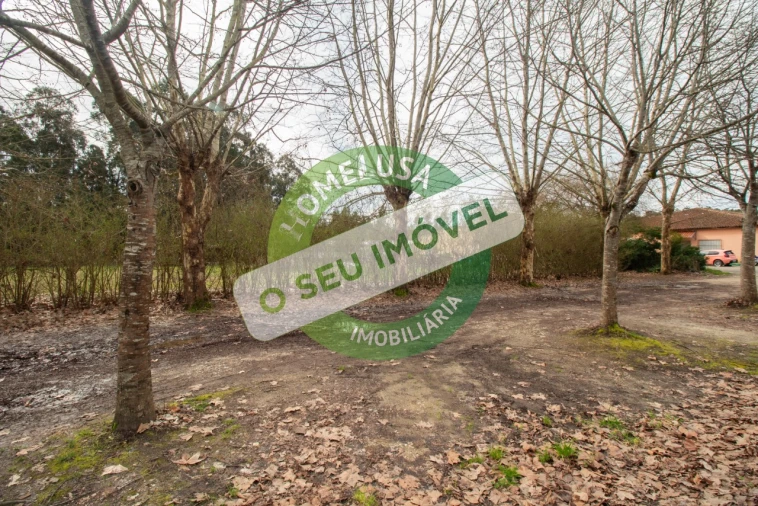 Terreno para Venda em Fonte de Angeão e Covão do Lobo Foto 12