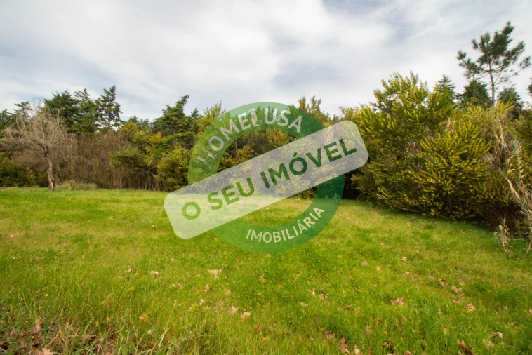 Terreno para Venda em Fonte de Angeão e Covão do Lobo Foto 15