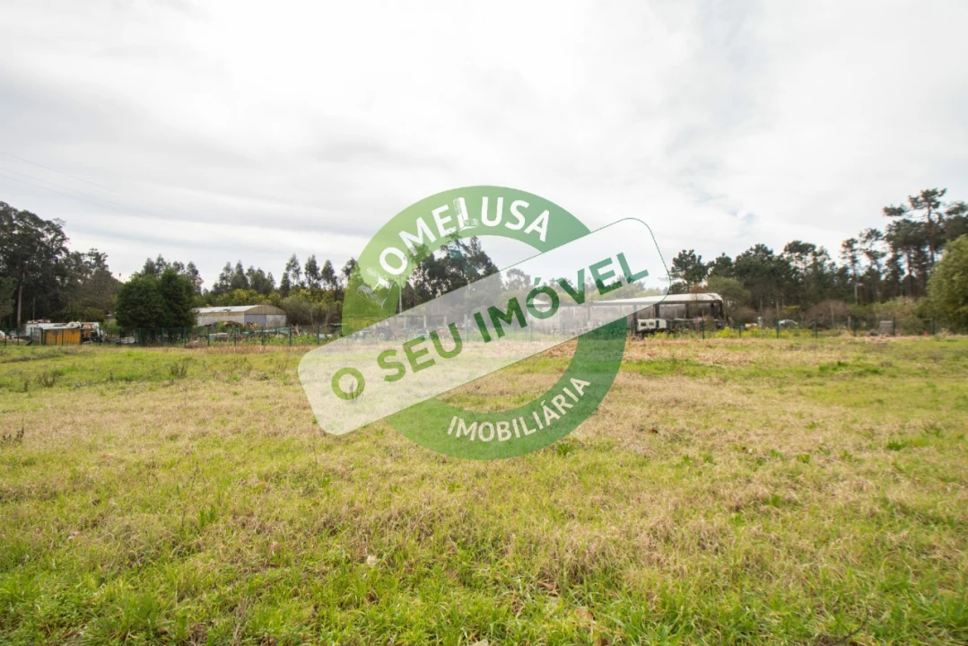Terreno para Venda em Fonte de Angeão e Covão do Lobo Foto 6