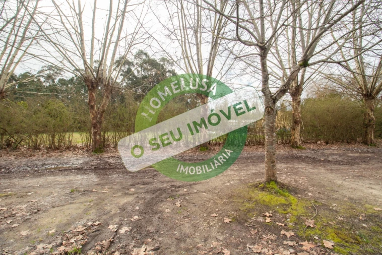 Terreno para Venda em Fonte de Angeão e Covão do Lobo Foto 13