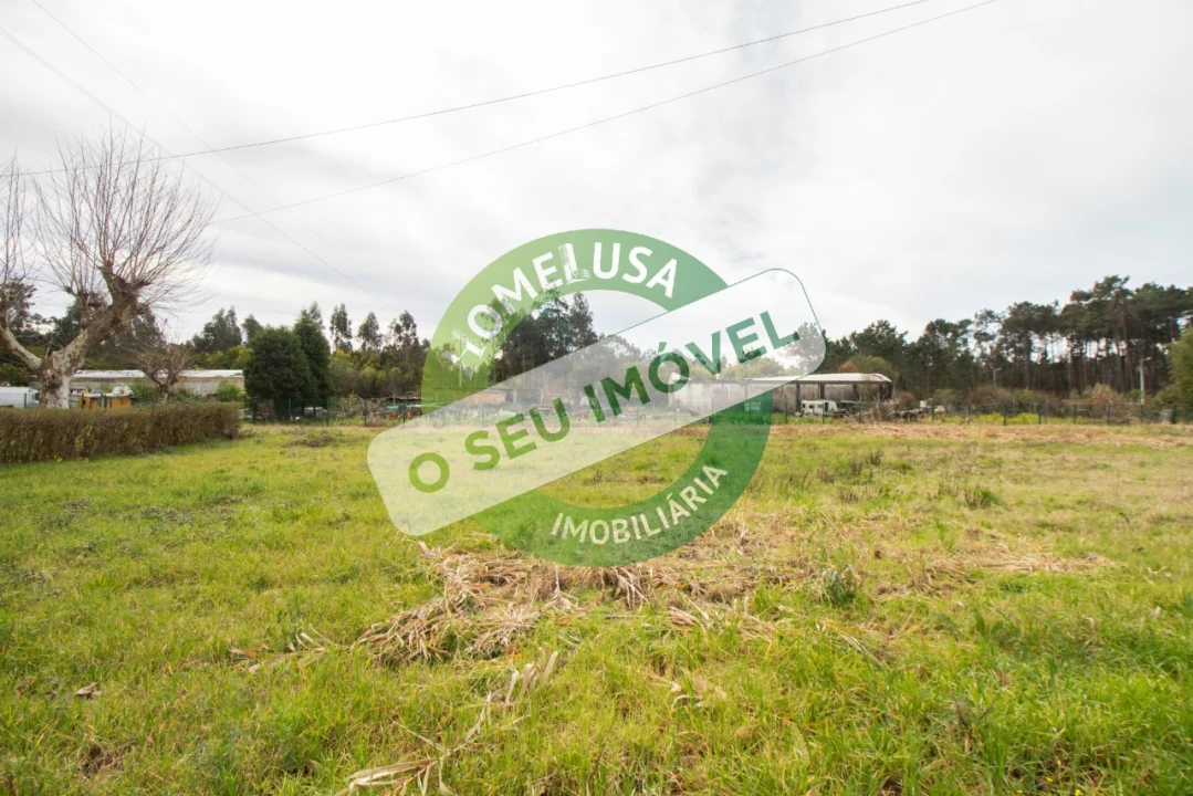 Terreno para Venda em Fonte de Angeão e Covão do Lobo Foto 16