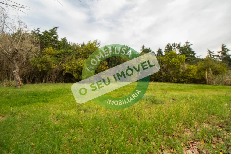 Terreno para Venda em Fonte de Angeão e Covão do Lobo Foto 5