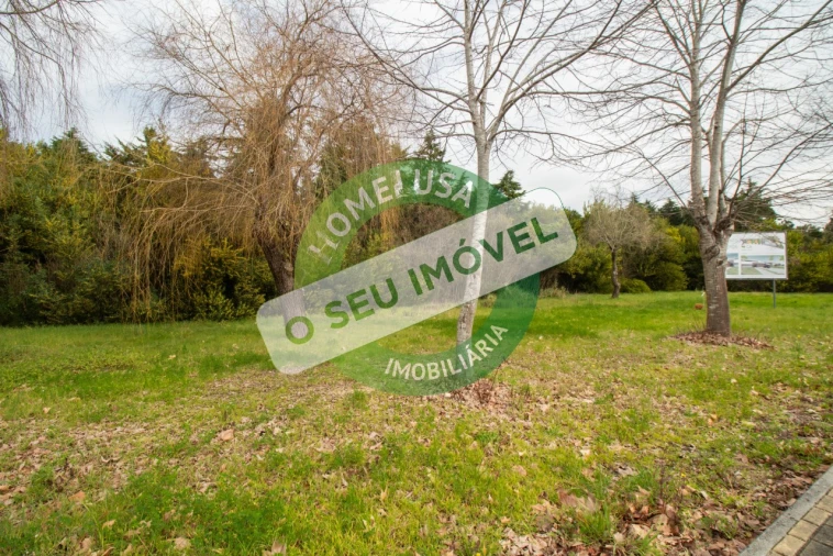 Terreno para Venda em Fonte de Angeão e Covão do Lobo Foto 8
