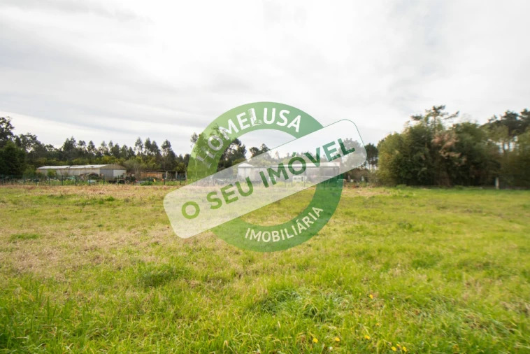 Terreno para Venda em Fonte de Angeão e Covão do Lobo Foto 12