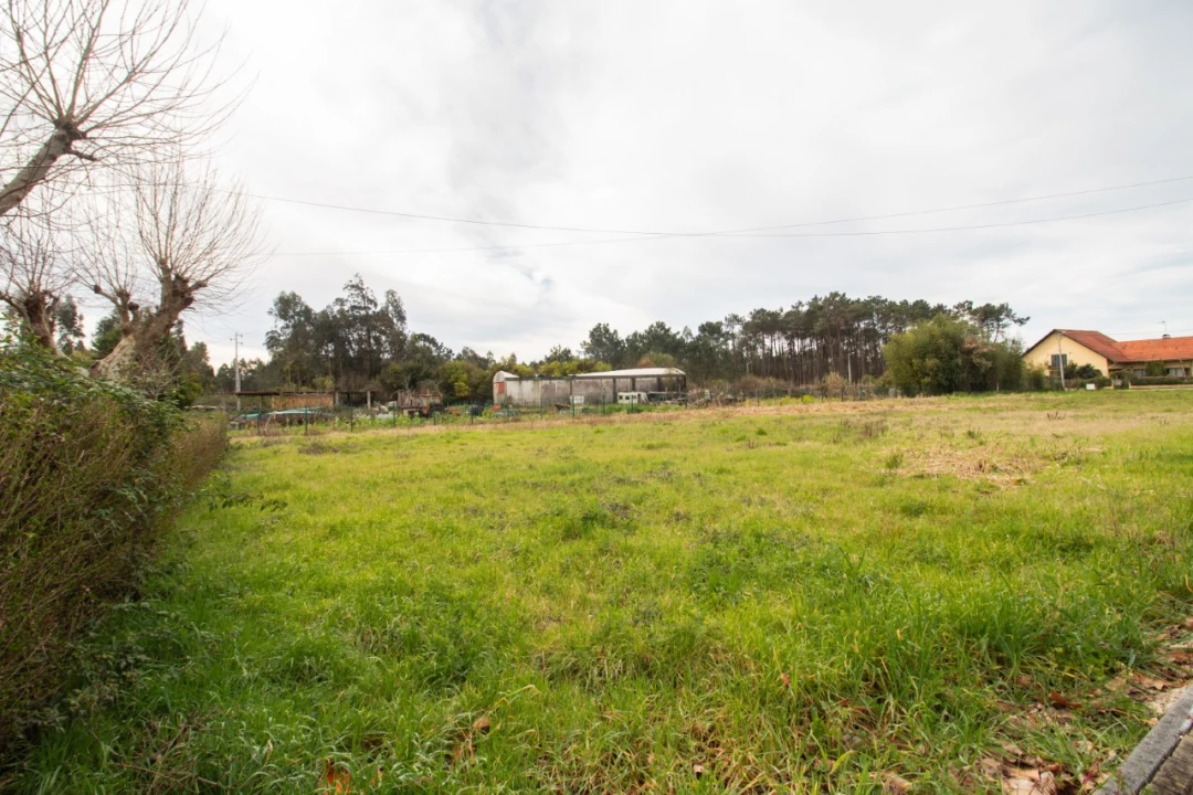 Terreno para Venda em Fonte de Angeão e Covão do Lobo Foto 2
