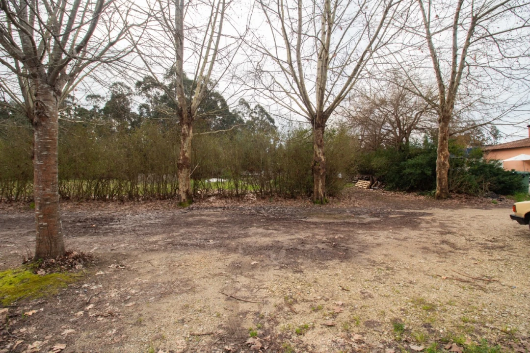 Terreno para Venda em Fonte de Angeão e Covão do Lobo Foto 4