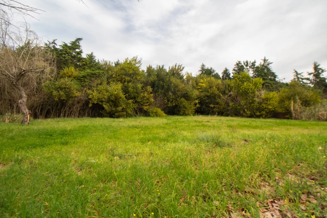 Terreno para Venda em Fonte de Angeão e Covão do Lobo Foto 7