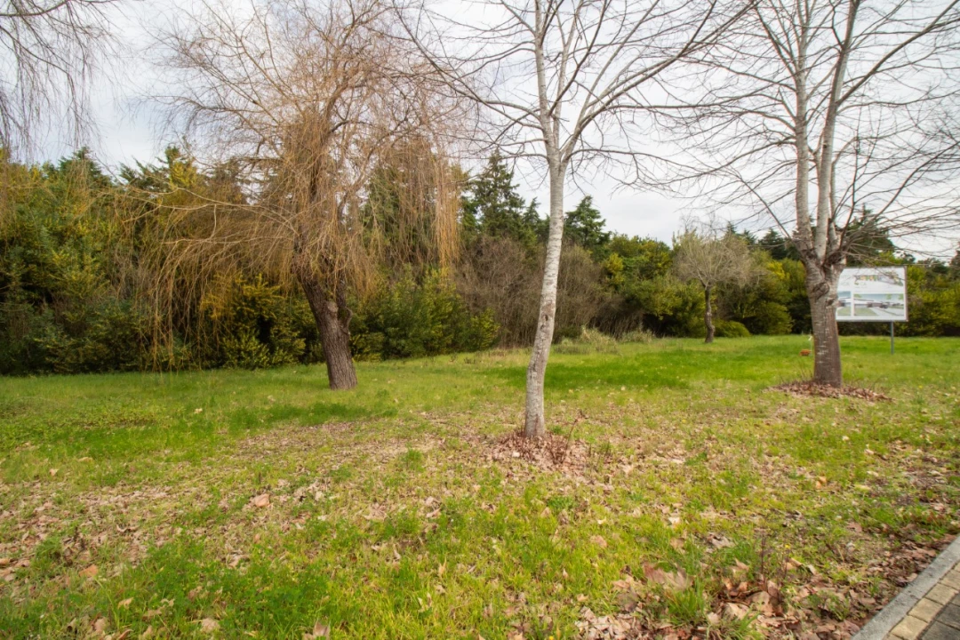 Terreno para Venda em Fonte de Angeão e Covão do Lobo Foto 9