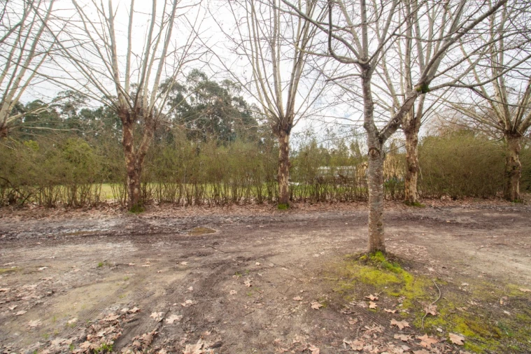 Terreno para Venda em Fonte de Angeão e Covão do Lobo Foto 3