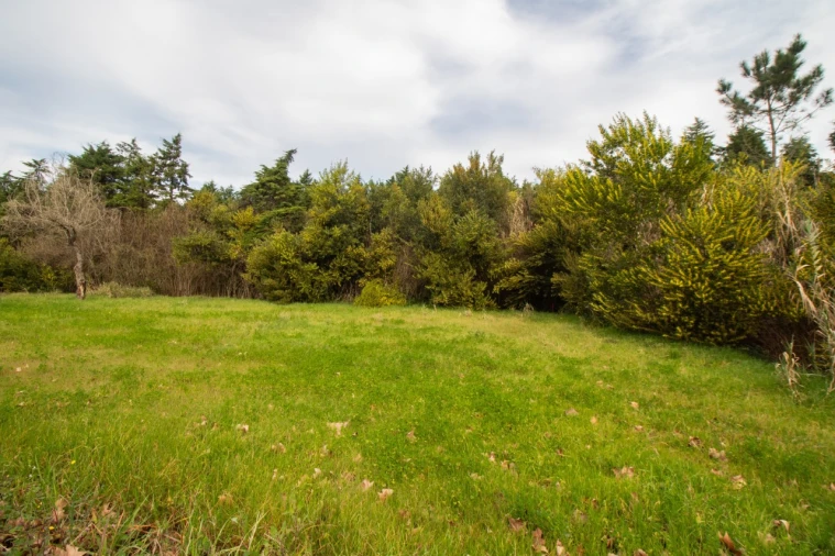 Terreno para Venda em Fonte de Angeão e Covão do Lobo Foto 5