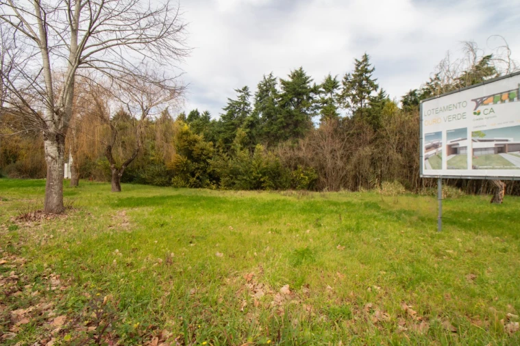 Terreno para Venda em Fonte de Angeão e Covão do Lobo Foto 8