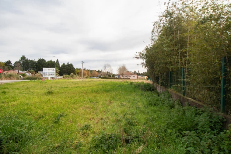 Terreno para Venda em Fonte de Angeão e Covão do Lobo Foto 11