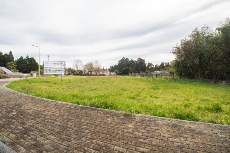 Terreno para Venda em Fonte de Angeão e Covão do Lobo Foto 12